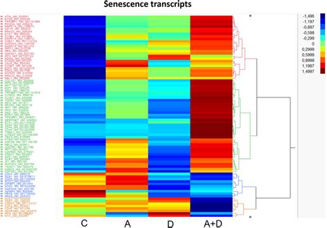 Heat Map Expression Of Genes Related To Senescence After 5 Aza Cdr And