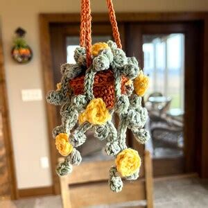 String Of Pearls Hanging Plant Car Plant Crochet Plant Etsy