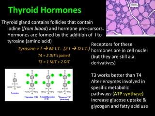 Control Of Metabolism Ppt