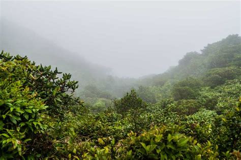 18 Things To Know Before Visiting Monteverde Cloud Forest