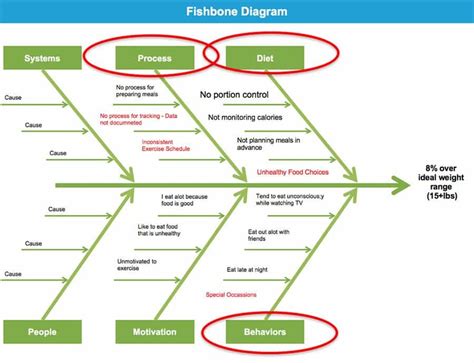 Six Sigma Fishbone Diagram Template