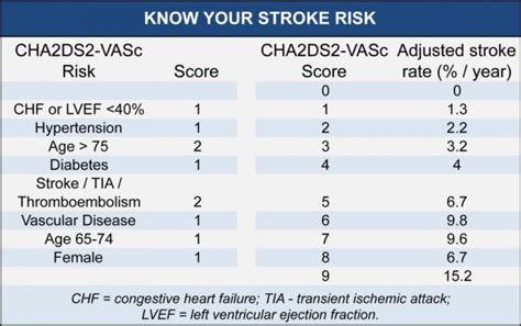 What Is Atrial Fibrillation And How Is It Related To Stroke The Heart And Vascular Centre