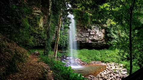 Bellingen Shire Achieves Prestigious Eco Destination Certification