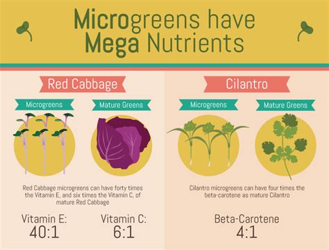 Grow Your Own Microgreens