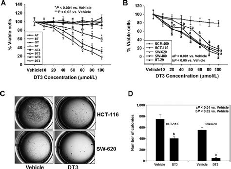 Figure From Chemoprevention Of Azoxymethane Induced Colon