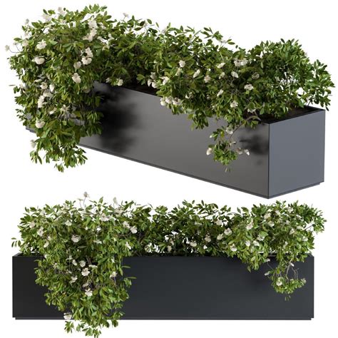 Modern Planter Box White Flower 3D Model For VRay Corona