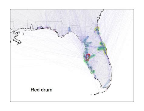 Map Of Surveyed Angler Trips Targeting Red Drum And Common Snook In