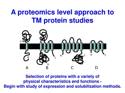 Ppt Challenges And Methods In Transmembrane Protein Structure