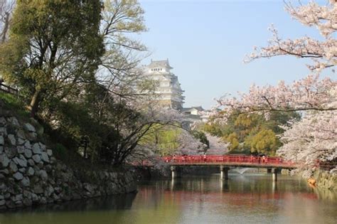 陸軍第十師団跡（姫路城） しろみ茂平の話