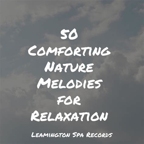 50 Comforting Nature Melodies For Relaxation Album By Regen Guided