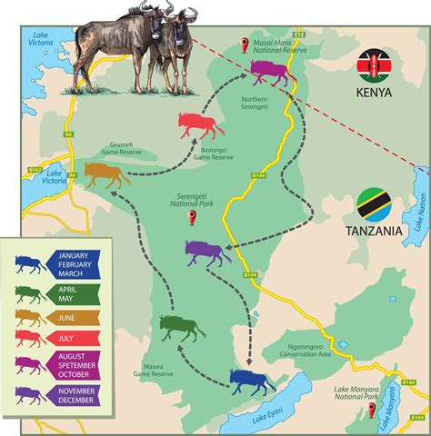 Wildebeest Migration The Most Thrilling Wildebeest Life Phenomenon