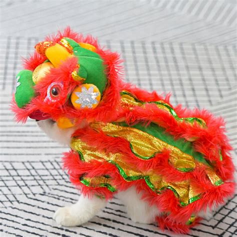 Chinese Dragon Festival Costume