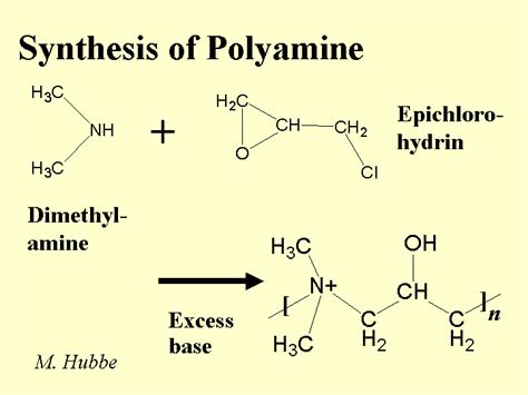 Polyamine - Alchetron, The Free Social Encyclopedia