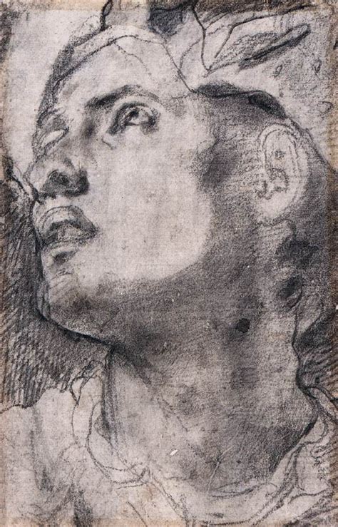 Study For A Portrait Of A Youth Jacopo Pontormo Black Chalk