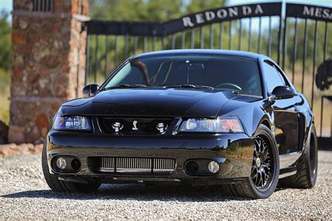 2003/2004 SVT Mustang Cobra Terminator, 2003 cobra terminator HD ...