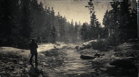 My photos from RDR 2 : r/rockstar