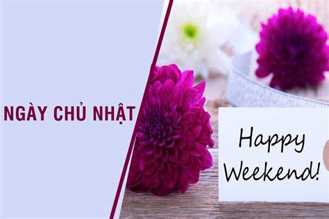 Chia Sẻ Niềm Vui Công Việc Qua Những Stt Độc Quyền Về Ngày Chủ Nhật