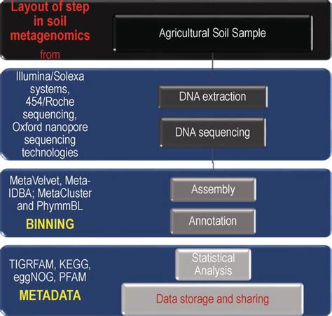 Soil Metagenomics: Prospects and Challenges | IntechOpen