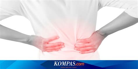 6 Langkah Sederhana Cegah Batu Ginjal