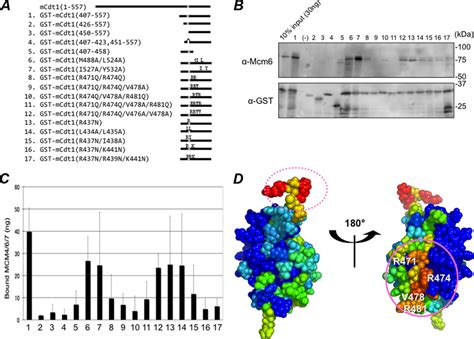 In Vitro Binding Assay With The Fragments And The Structure Based Point Download Scientific