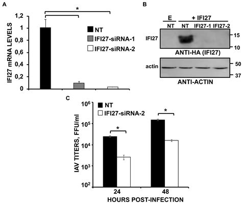 Frontiers The Ifn Stimulated Gene Ifi Counteracts Innate Immune