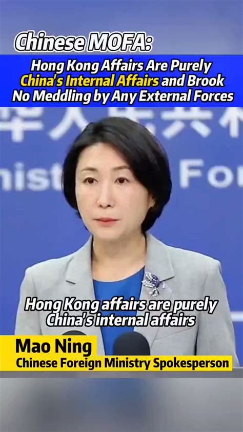 Zhang Meifang On Twitter Hongkong Affairs Are Purely China S Internal