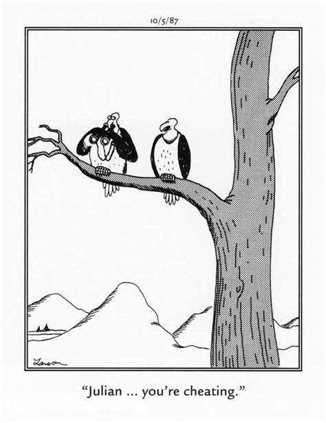 Buzzard With Binoculars Gary Larson Cartoons Far Side Cartoons Far Side Comics