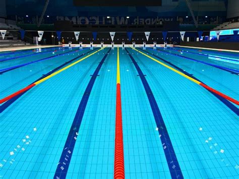 Olympic Sized Swimming Pool Best Guide 2024