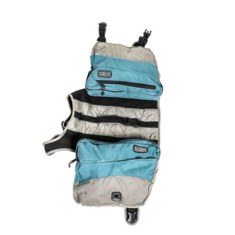 Pair of Outward Hound Dog Backpacks | EBTH