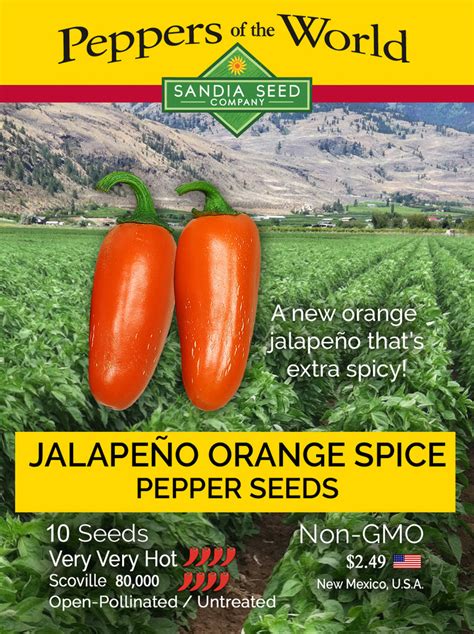 Jalapeño Orange Spice Numex Seeds Sandia Seed Company