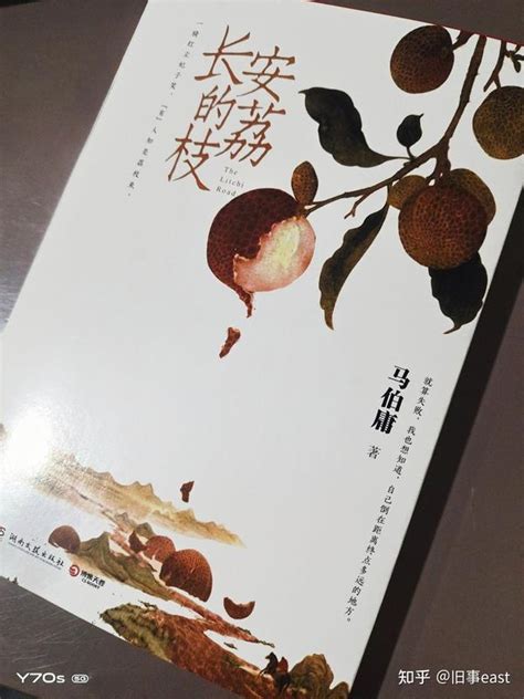 简评《长安的荔枝》 知乎