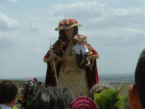 Romería ALCOLEA DEL RIO Sevilla