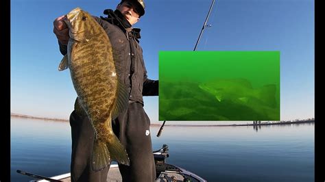 Bass And Walleye On Bladebaits Plus Underwater Footage Youtube