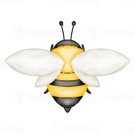 Watercolor Bee Clip Art Png