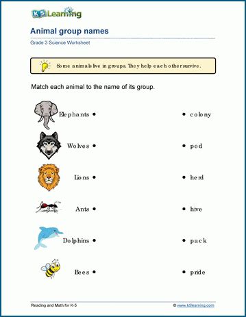 Animal Groups Worksheets | K5 Learning