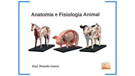 Anatomia E Fisiologia Animal - Anatomia e Fisiologia Animal by Ricardo Nery de Castro on Prezi