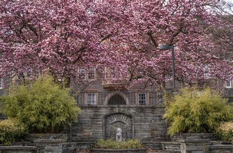 See the 2022 Best Liberal Arts Colleges