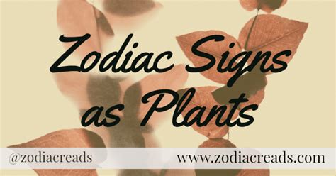 Zodiac Signs As Plants Zodiacreads