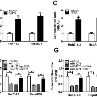 Overexpression Of SIRT1 Reversed Effects Of MiR 1271 On HBV Replication