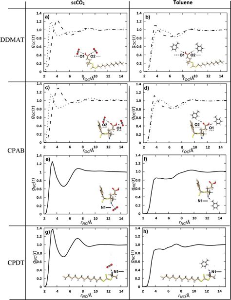 Radial Distribution Functions Showing The Functional Groups