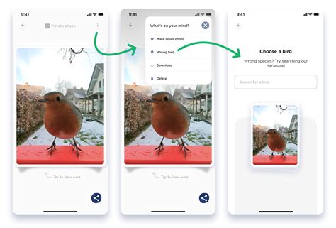 Here is the latest from Bird Buddy on firmware and app! - Bird Buddy Blog