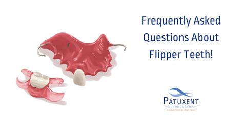 Frequently Asked Questions About Flipper Teeth