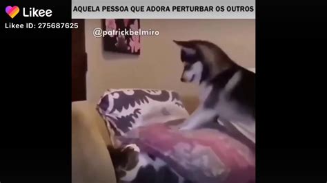 Sai Daqui Seu Cachorro Youtube