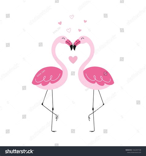 Kissing Flamingos 766 Images Photos Et Images Vectorielles De Stock