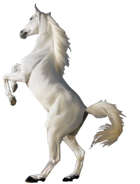 Horse Hd Png Transparent Horse Hdpng Images Pluspng