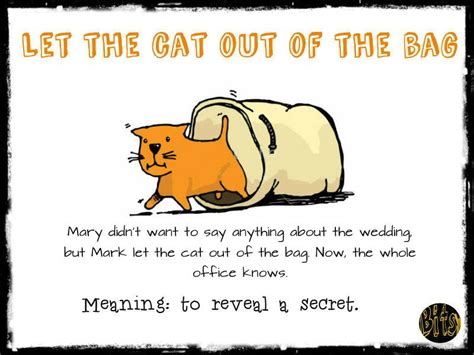 To Let The Cat Out Of The Bag English Idioms Idioms Teaching English