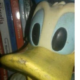 Boneco Antigo Pato Donald Anos S De Vi Vinil E Pano Shopee Brasil