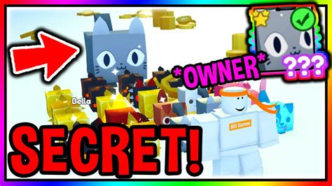 How To Get SECRET HUGE CAT PET In Pet Simulator X Roblox YouTube