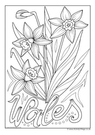 Welsh Colouring Pages Flower Coloring Pages Coloring Pages