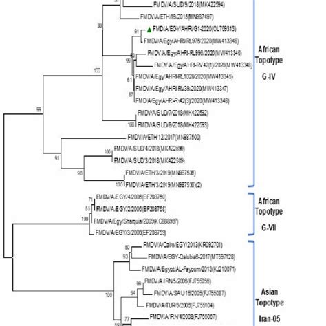 Phylogenetic Tree Constructed Using The Neighbor Joining Method Download Scientific Diagram